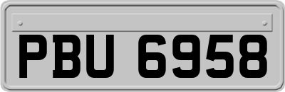 PBU6958