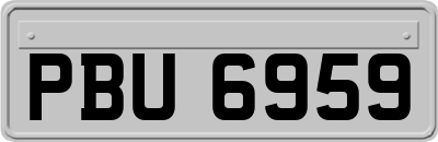 PBU6959