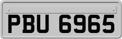 PBU6965