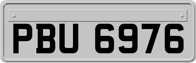 PBU6976