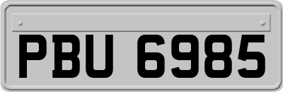 PBU6985