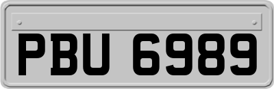 PBU6989