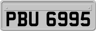 PBU6995