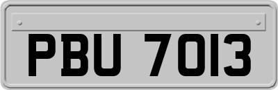 PBU7013