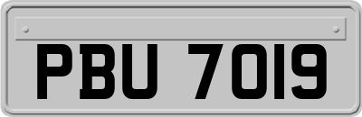 PBU7019