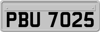 PBU7025