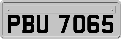 PBU7065