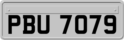 PBU7079