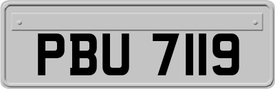 PBU7119