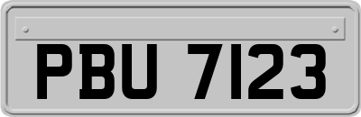 PBU7123