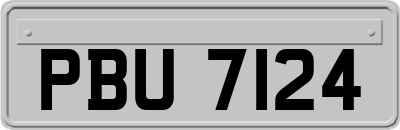 PBU7124