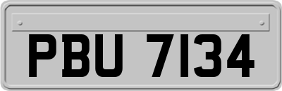 PBU7134