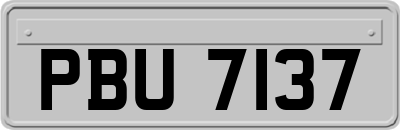 PBU7137