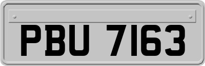 PBU7163