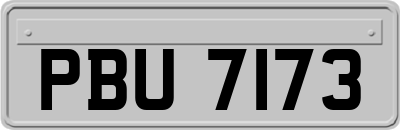 PBU7173