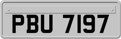 PBU7197