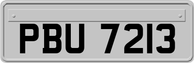 PBU7213