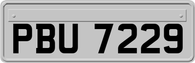 PBU7229