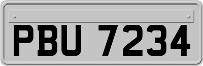 PBU7234