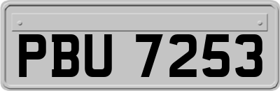 PBU7253