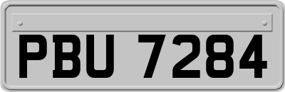 PBU7284