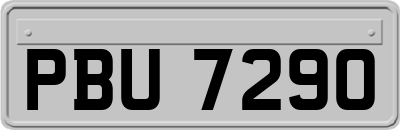 PBU7290