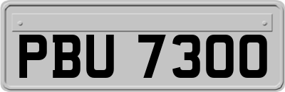 PBU7300