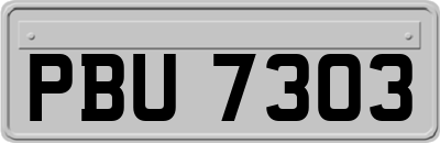 PBU7303