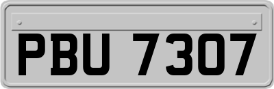 PBU7307