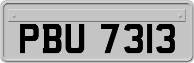 PBU7313