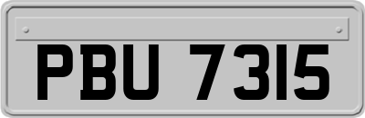 PBU7315