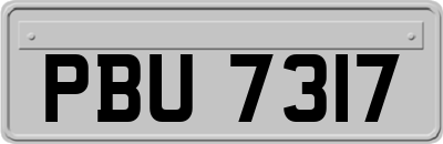 PBU7317