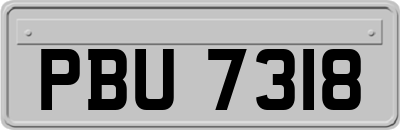 PBU7318