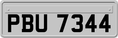 PBU7344