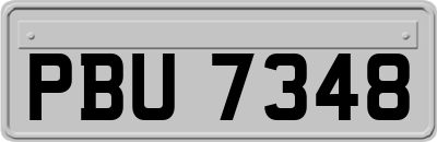 PBU7348