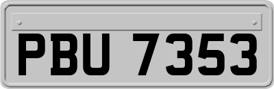 PBU7353