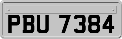 PBU7384