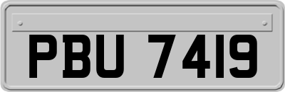 PBU7419