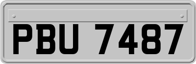 PBU7487