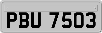 PBU7503