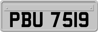 PBU7519