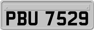 PBU7529