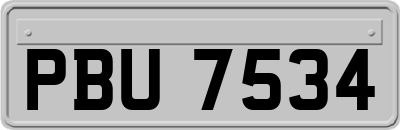 PBU7534