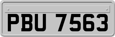 PBU7563