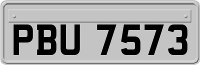 PBU7573