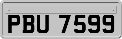 PBU7599