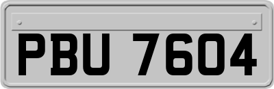 PBU7604