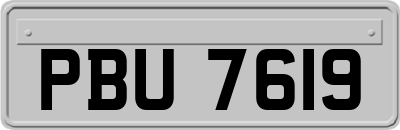 PBU7619