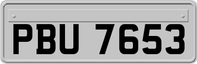 PBU7653