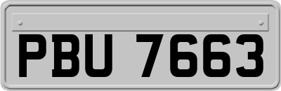 PBU7663